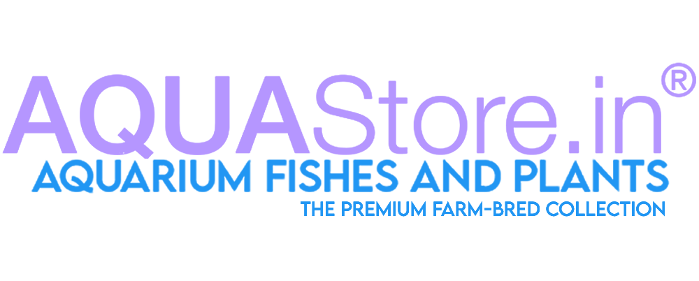 Aqua Store